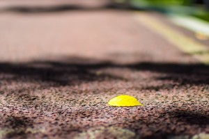 北京学大中学辅导老师不敬业？周中放飞自我？