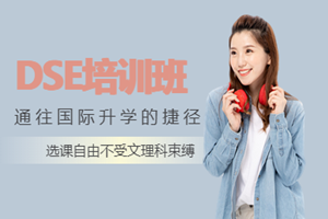 北京DSE培训
