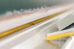 福州学大教育中考口碑怎么样？