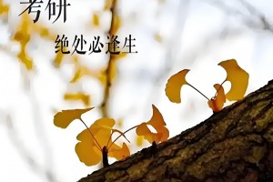 上海文都考研怎么样？教学效果如何？