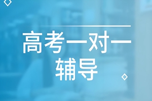 洛阳高考一对一辅导班