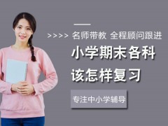 洛阳小学期末各科该怎样复习？