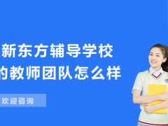 郑州新东方教育的教师团队怎么样？