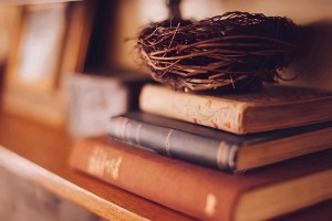 重磅消息!文都考研秋季集训营即将开班