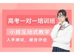 上海高考一对一培训班