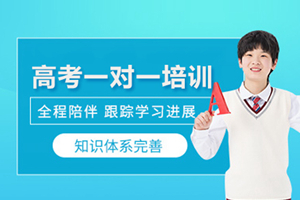 北京高考一对一培训课程