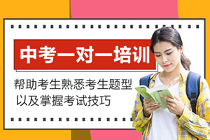 北京中考一对一培训班