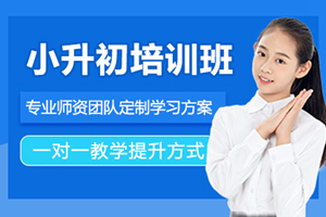 杭州小升初培训班