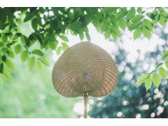 南京高中地理补习班