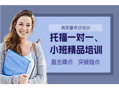 上海托福一对一/小班精品培训班