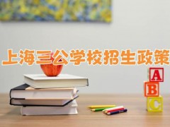 上海三公学校是哪三所学校？