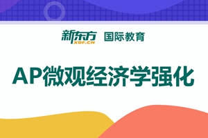 泰州AP微观经济学强化班
