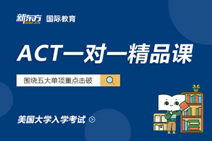 泰州ACT一对一精品课