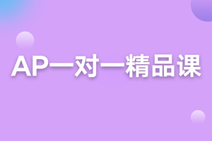 泰州AP一对一精品班